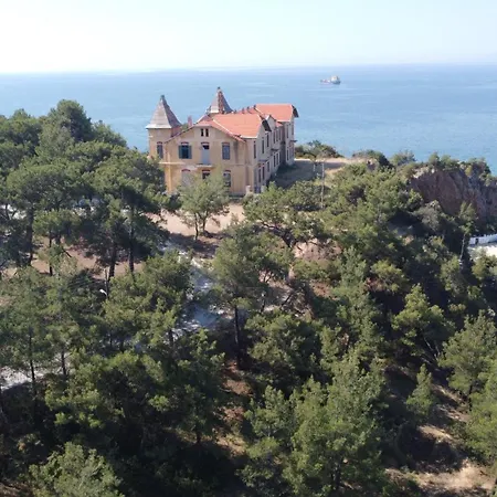 Thassos Forrest View Limenaria (Thasos)
